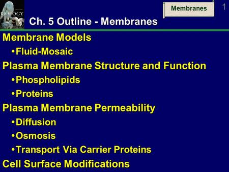 Membranes 1 Ch. 5 Outline - Membranes Membrane Models  Fluid-Mosaic Plasma Membrane Structure and Function  Phospholipids  Proteins Plasma Membrane.
