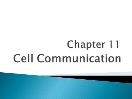 Cell Communication.  Cell-to-cell communication is important for multicellular organisms.