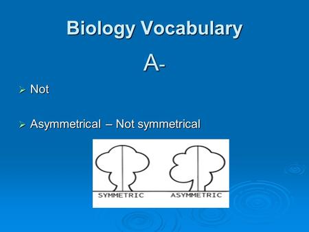 Biology Vocabulary A -  Not  Asymmetrical – Not symmetrical.