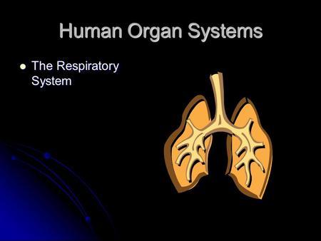 Human Organ Systems The Respiratory System The Respiratory System.