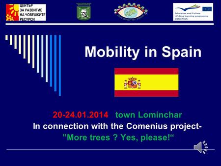 Mobility in Spain 20-24.01.2014 town Lominchar In connection with the Comenius project- ”More trees ? Yes, please!“