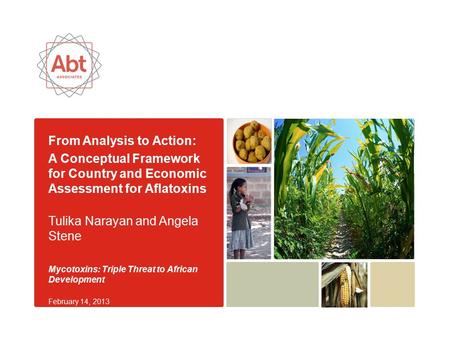 From Analysis to Action: A Conceptual Framework for Country and Economic Assessment for Aflatoxins Tulika Narayan and Angela Stene Mycotoxins: Triple Threat.
