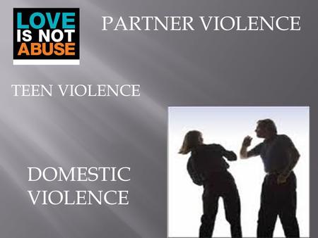 PARTNER VIOLENCE DOMESTIC VIOLENCE TEEN VIOLENCE.