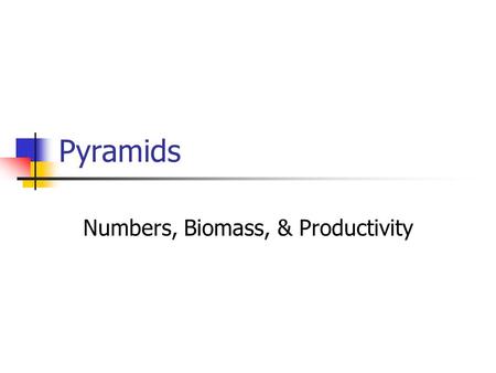 Pyramids Numbers, Biomass, & Productivity. FOOD CHAINS AND PYRAMIDS Pyramid diagrams give information about the organisms in a food chain: numbers of.