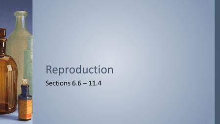 Sections 6.6 – 11.4 Reproduction. 6.6.1 Draw and label diagrams of the adult male and female reproductive systems 6.6.2 Outline the role of hormones in.