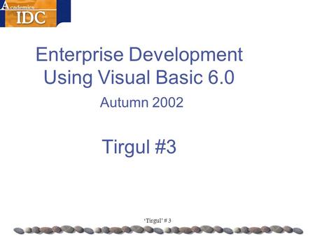‘Tirgul’ # 3 Enterprise Development Using Visual Basic 6.0 Autumn 2002 Tirgul #3.