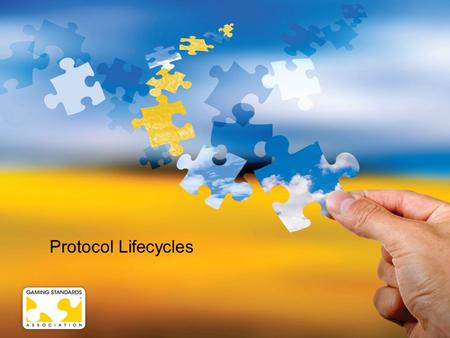 Protocol Lifecycles.  At their meeting in May, the GSA Board approved a new policy that establishes a well-defined three-year lifecycle for GSA protocols.