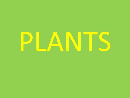 PLANTS. Characteristics of Plants All plants need space, air, water, and sunlight.