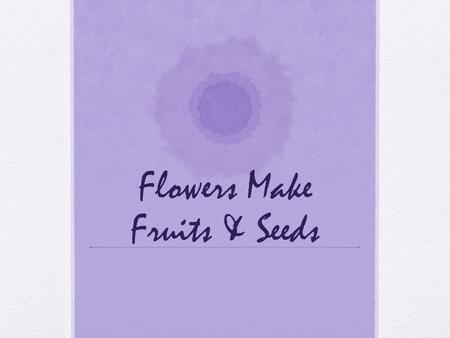 Flowers Make Fruits & Seeds. Basic Vocab! What is fertilization? The combing of a sperm and as egg to make a seed. What is an ovule? The inner part of.