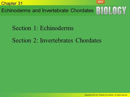Section 2: Invertebrates Chordates