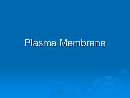 Plasma Membrane. Cell Membrane 1. What is the special lipid found in the plasma membrane? 2. What do you think makes up the plasma membrane?