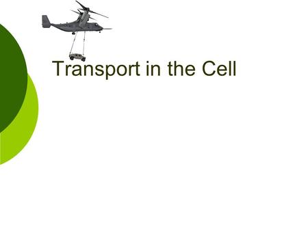 Transport in the Cell. In a way a cell is like a miniature version of you. It requires nutrients and, in the process of breaking down the nutrients, the.