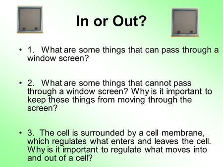 In or Out? 1. 	What are some things that can pass through a window screen? 2. 	What are some things that cannot pass through a window screen? Why is it.