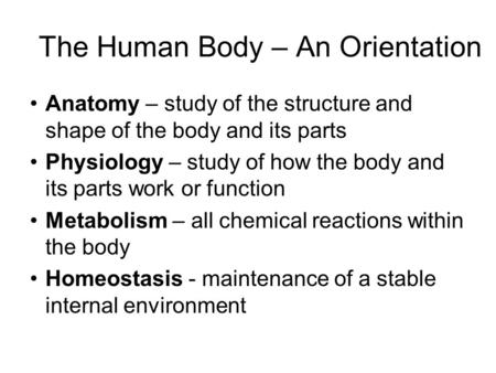 The Human Body – An Orientation
