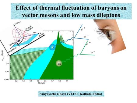 Effect of thermal fluctuation of baryons on vector mesons and low mass dileptons ρ ω Sanyasachi Ghosh (VECC, Kolkata, India)