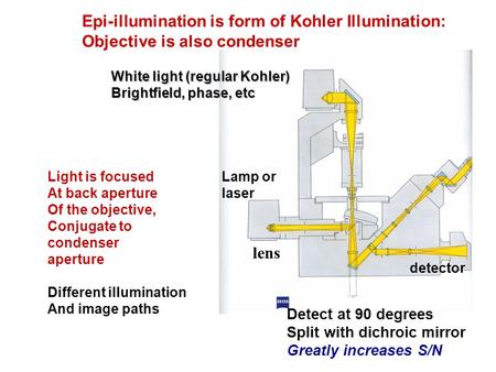 Epi-illumination is form of Kohler Illumination: