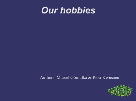 Our hobbies Authors: Marcel Gómułka & Piotr Kwiecień.