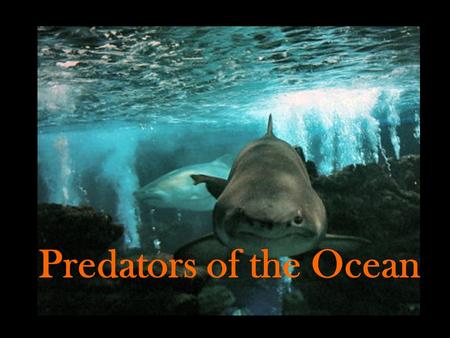 Predators of the Ocean. They live in waters all over the world, in every ocean, and even in some rivers and lakes. Unlike bony fish, sharks have no bones;