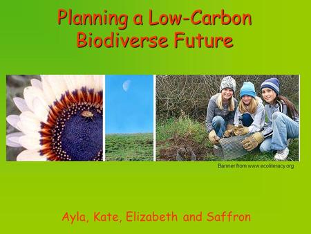 Planning a Low-Carbon Biodiverse Future Ayla, Kate, Elizabeth and Saffron Banner from www.ecoliteracy.org.