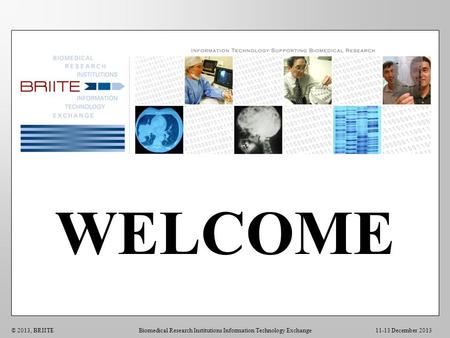 WELCOME 11-13 December 2013© 2013, BRIITEBiomedical Research Institutions Information Technology Exchange.