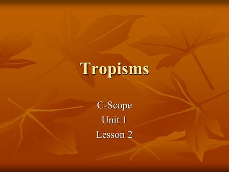 Tropisms C-Scope Unit 1 Lesson 2. How do plants grow? From seeds or other plant parts From seeds or other plant parts They grow to continue species They.