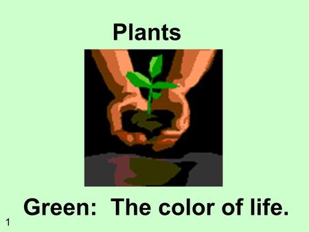 Plants Green: The color of life. 1. What do plants need to survive? SunlightWater and Minerals Gas Exchange CO 2 O2O2 Movement of Water and Nutrients.