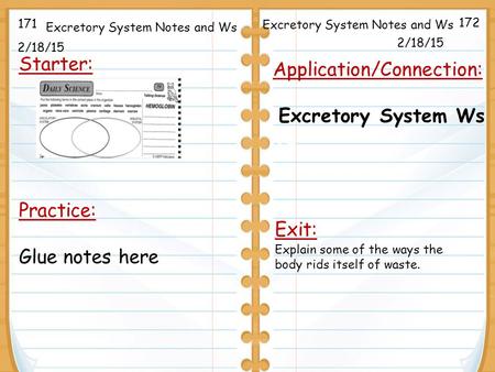 Application/Connection: Excretory System Ws Tu