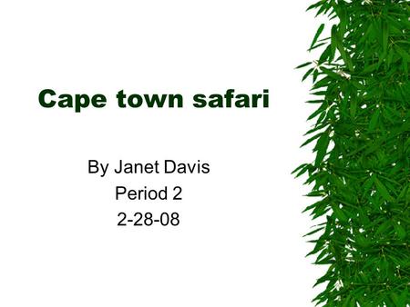 Cape town safari By Janet Davis Period 2 2-28-08.