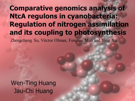 Comparative genomics analysis of NtcA regulons in cyanobacteria: Regulation of nitrogen assimilation and its coupling to photosynthesis Wen-Ting Huang.