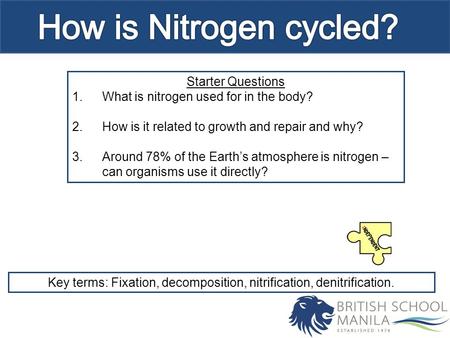 Starter Questions 1.What is nitrogen used for in the body? 2.How is it related to growth and repair and why? 3.Around 78% of the Earth’s atmosphere is.