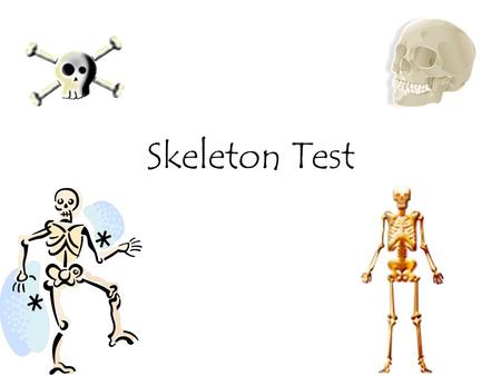 Skeleton Test.