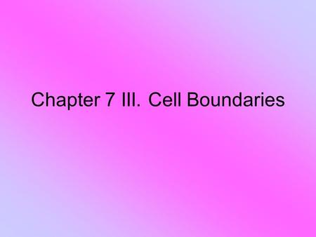 Chapter 7 III. Cell Boundaries. All cells have a _____________________________and some have a cell wall Cell membrane.