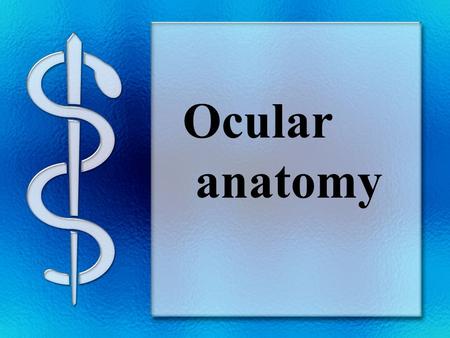 Ocular anatomy. Eyeball Orbit Lacrimal apparatus Extraocular muscles visual organ & visual pathway Vascular supply to the eyeball Section Ⅰ.