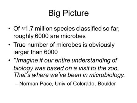 Big Picture Of ≈1.7 million species classified so far, roughly 6000 are microbes True number of microbes is obviously larger than 6000 “Imagine if our.