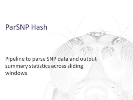 ParSNP Hash Pipeline to parse SNP data and output summary statistics across sliding windows.