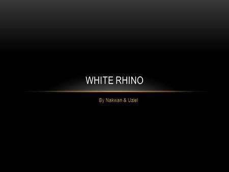 By Nakwan & Uziel WHITE RHINO. SCIENTIFIC AND COMMON NAME Ceratotherium Simum White Rhinoceros.