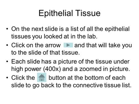 Epithelial Tissue On the next slide is a list of all the epithelial tissues you looked at in the lab. Click on the arrow and that will take you to the.