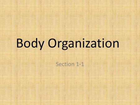 Body Organization Section 1-1.