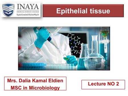 Epithelial tissue Mrs. Dalia Kamal Eldien MSC in Microbiology Lecture NO 2.