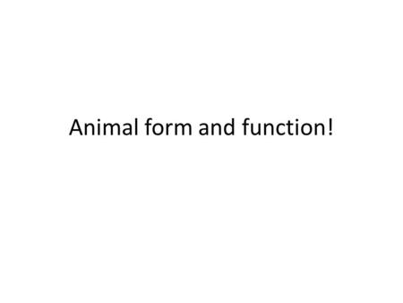 Animal form and function!. Levels of organization: ----what comes before?