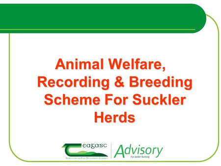 Animal Welfare, Recording & Breeding Scheme For Suckler Herds.
