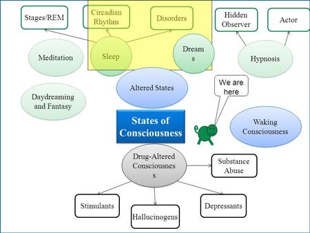 States of Consciousness Waking Consciousness Sleep Circadian Rhythm Stages/REM Disorders Drug-Altered Consciousnes s Depressants Hallucinogens Stimulants.