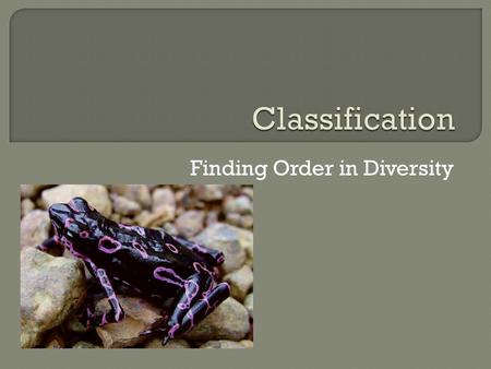 Finding Order in Diversity.  Scientist have named about 1.5 million species  However, it is estimated that there still are 2- 100 million additional.