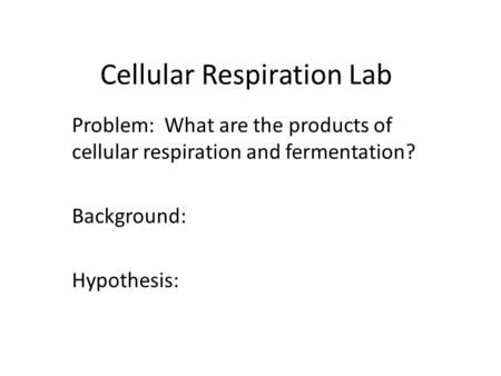 Cellular Respiration Lab Problem: What are the products of cellular respiration and fermentation? Background: Hypothesis: