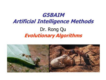G5BAIM Artificial Intelligence Methods Dr. Rong Qu Evolutionary Algorithms.