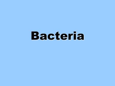 Bacteria. Bacterial Video Video Bacterial Kingdoms 1.Archaebacteria   Called “Ancient” bacteria  Live in harsh environments- volcanic vents, hot springs,