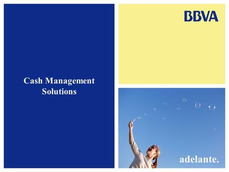 Cash Management Solutions adelante.. 1. Cash Concentration Iberian Cash Concentration Tax Implications Central Bank Reporting Advantages and Disadvantages.