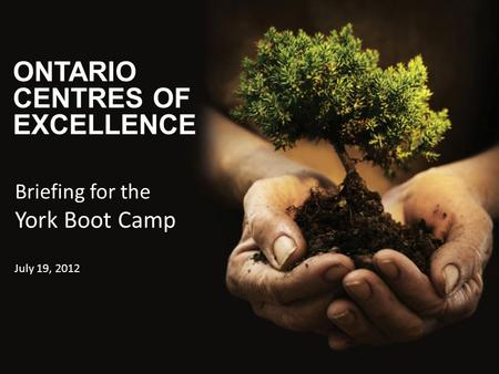 ONTARIO CENTRES OF EXCELLENCE Briefing for the York Boot Camp July 19, 2012.
