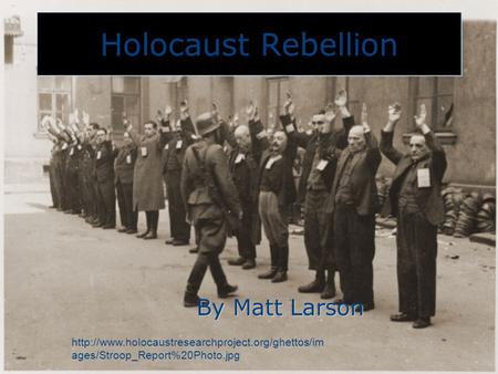 Holocaust Rebellion By Matt Larson