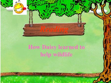 How Daisy learned to help wildlife